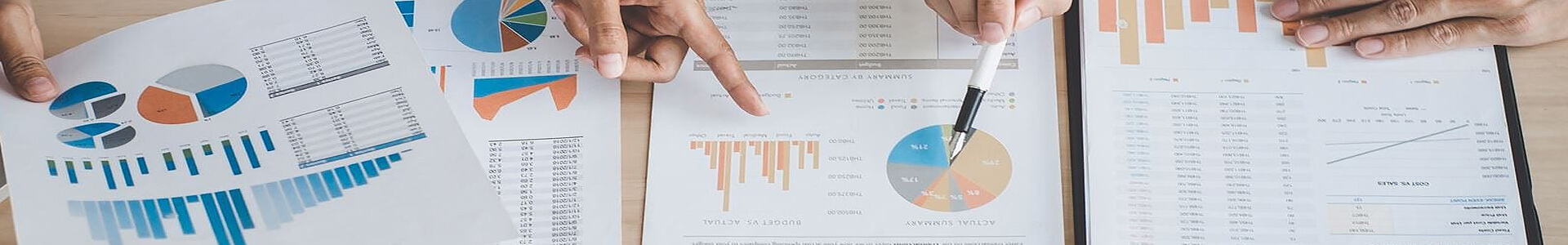 Financial Ratios & Highlights